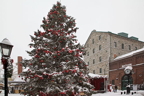 National Christmas Tree Day-Weekend