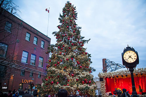 Massive Christmas Tree