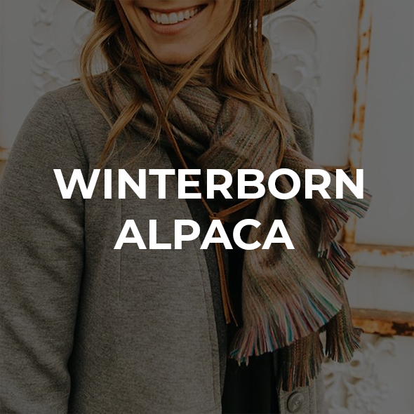Winterborn Alpaca Vendor Image